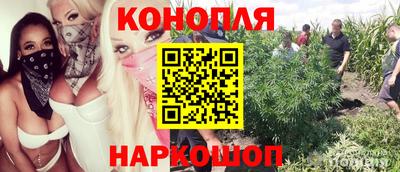 шишки Ярославль