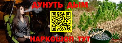 шишки Ярославль
