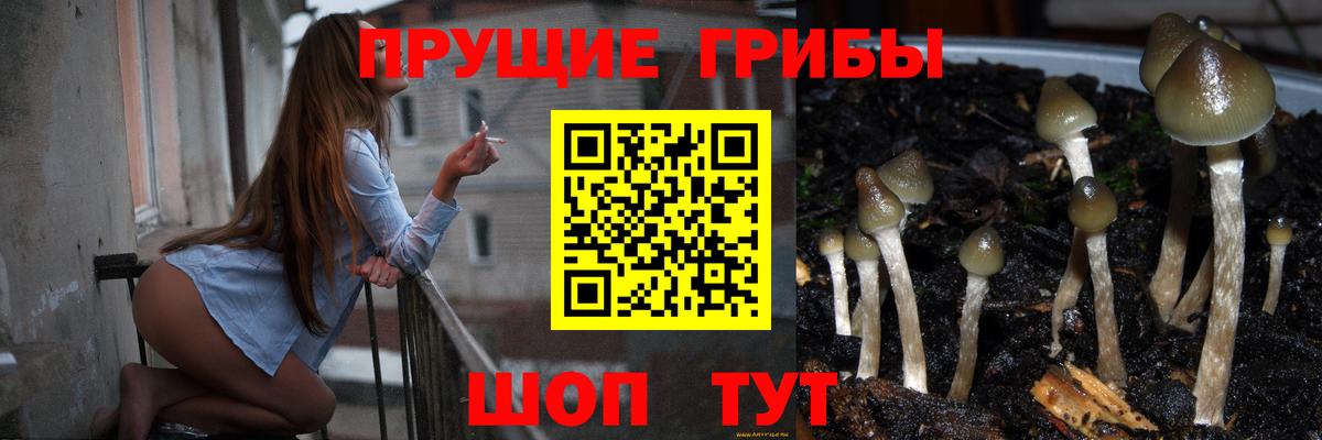 Псилоцибиновые грибы прущие грибы  Вход с VPN  Великий Новгород 